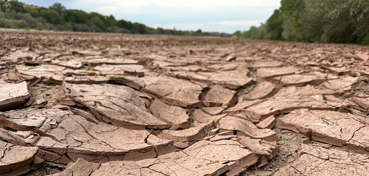 Cracked, dry mud makes up the riverbed in Albuquerque, NM on Thursday, August 21, 2025 (AP Photo./Susan Montoya Bryan, AP File)